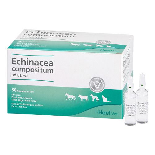 ECHINACEA COMPOSITUM ad us.vet.Ampullen