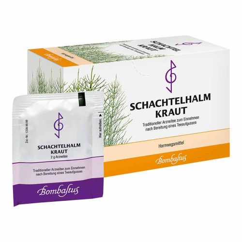 SCHACHTELHALMKRAUT Tee Filterbeutel