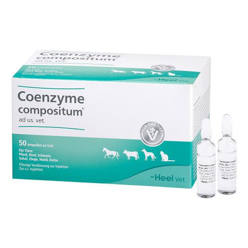 COENZYME COMPOSITUM ad us.vet.Ampullen