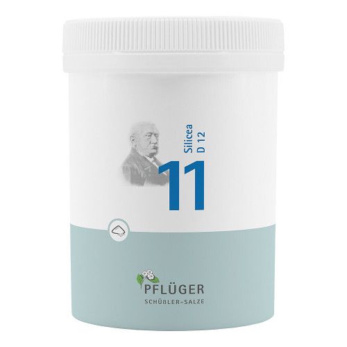 BIOCHEMIE Pflüger 11 Silicea D 12 Pulver