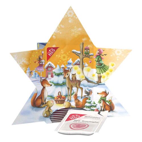 H&S Adventskalender Stern Filterbeutel